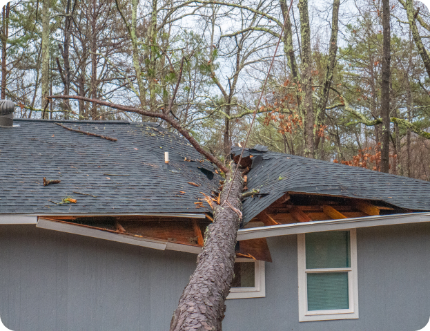 Tree fallen onto roof after a storm